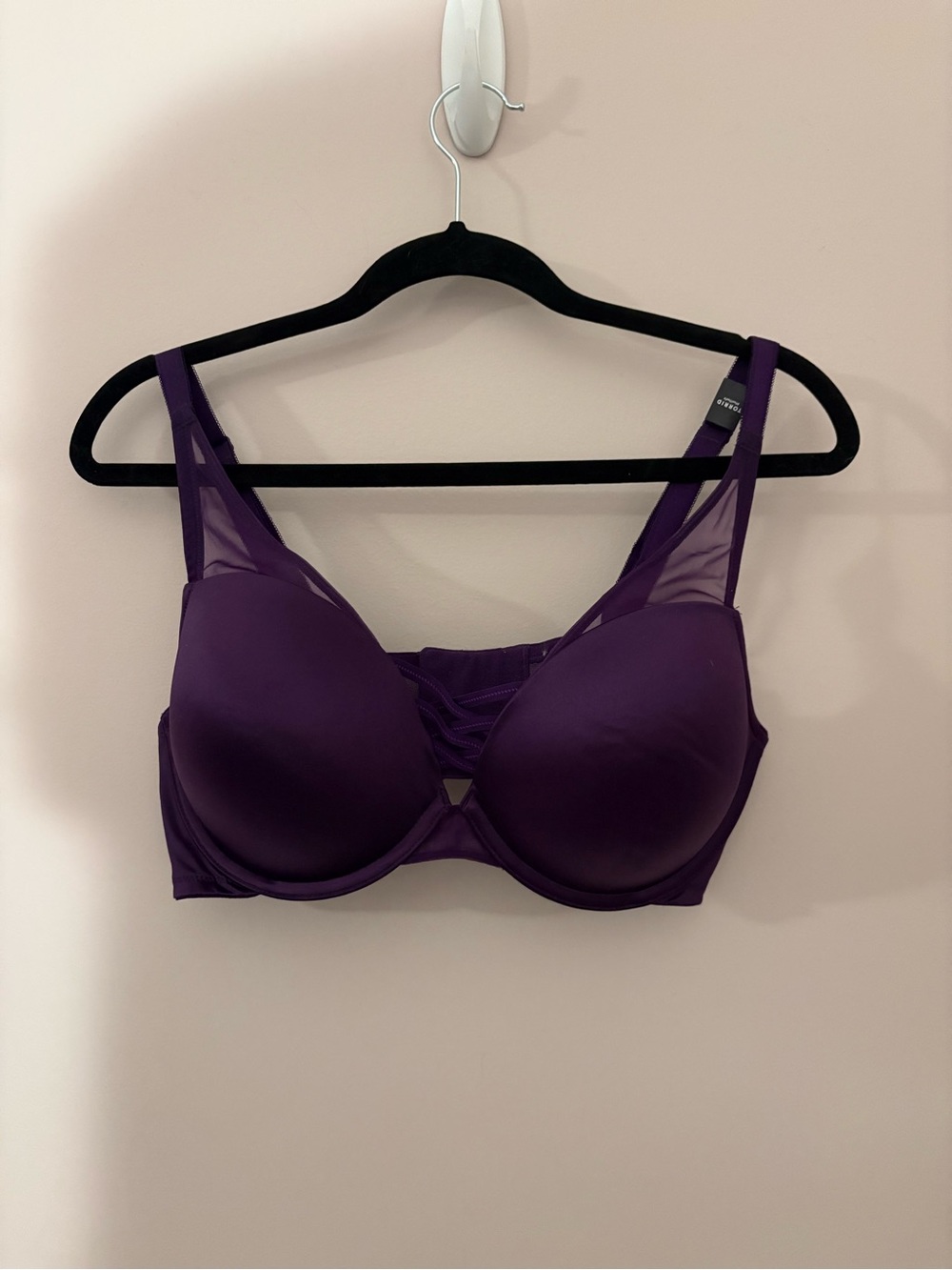 Torrid 40D XO Plunge Push-Up Bra Purple Strappy NWT Sexy